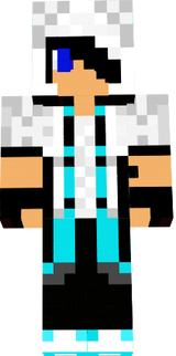 skin