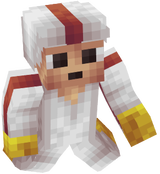 skin 2