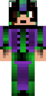 TheNicMaster skin