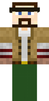 skin