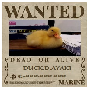 DUCK.D.AYAKI