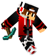 pierre le swagi