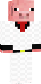 CaptainPorkchop Skin