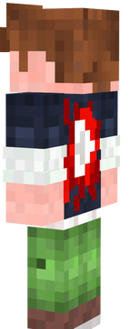 minecraft.skin