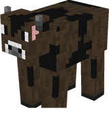caway