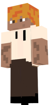 Usual Minecraft