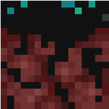 warped_nylium_side