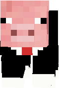 pig suit