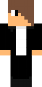Skin datei