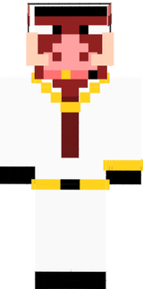 skin minecraft 