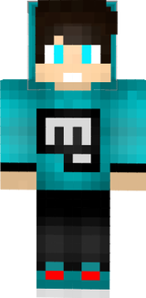 skin