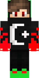 skin
