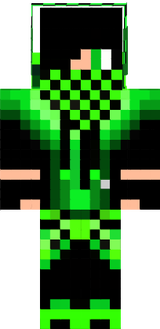 skin