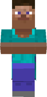 Steve Villager