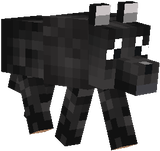 i planed a husky...