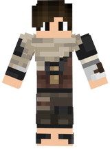 steve son b2