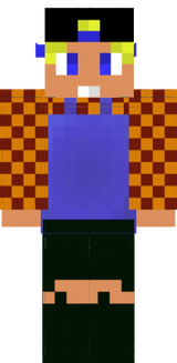 Singlebog2