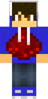 ray13gamer