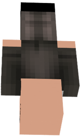 Agent ArrayZ Complete