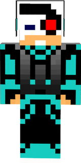 skin 1