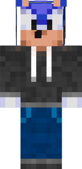 SWEG SANIC