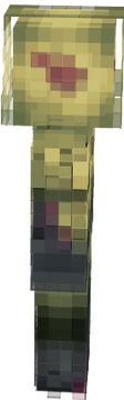 flash reverso