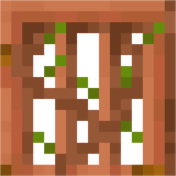 acacia_door_top