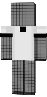 remera