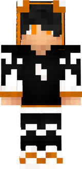 ZINNY pro