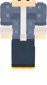 501 Skin