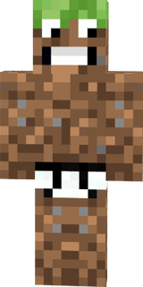 lolcraft29