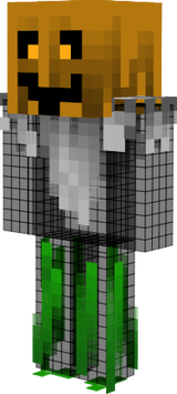 skin