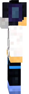 ASSASSIN