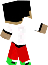 skin