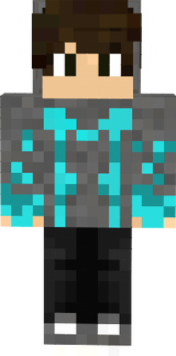 elements 3.1