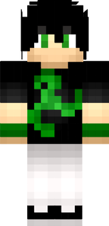SHINOFLEXDNz