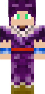 gohan purple hood