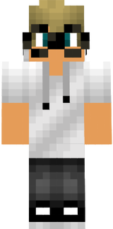 skin de memecraft