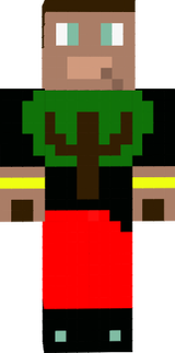 skin