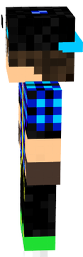 skin