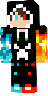 skin