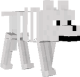 Grim the skeleton dog