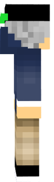 sas
