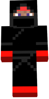 Ninja assassin