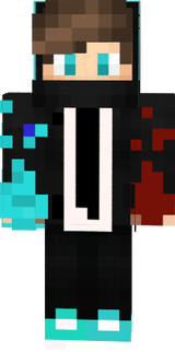 1oyun1video