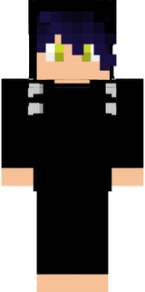 federmax wip1