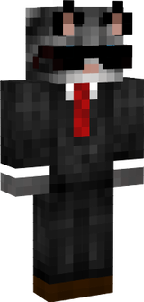gato segurança