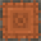 acacia_log_top