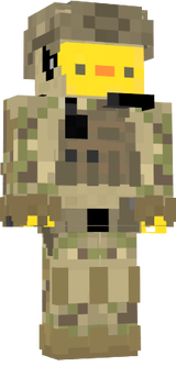 military duck