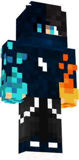 acerguardian